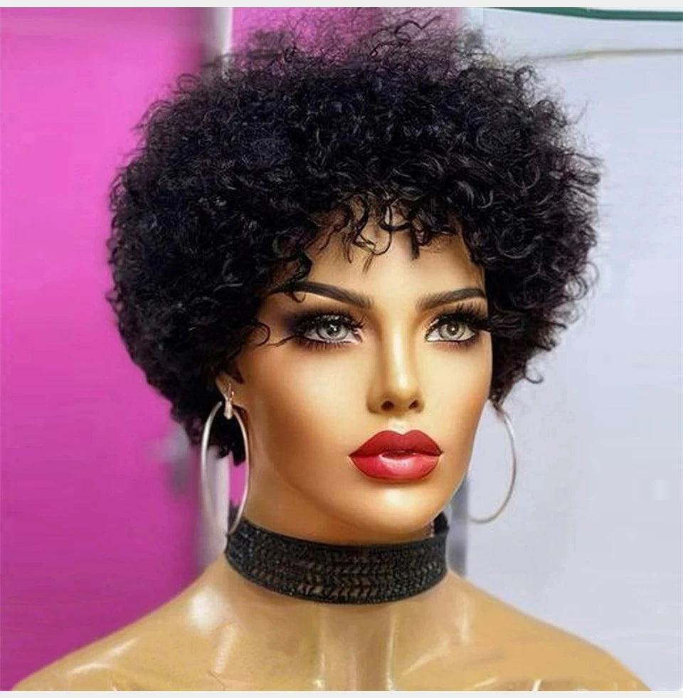 Large Bouncy Afro Kinky Curly Wigs For Black Women, Brazilian Virgin Remy Human Hair Wigs