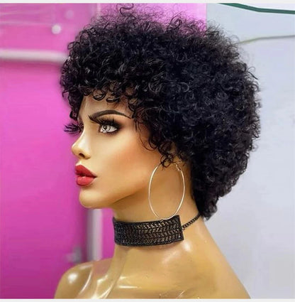 Large Bouncy Afro Kinky Curly Wigs For Black Women, Brazilian Virgin Remy Human Hair Wigs