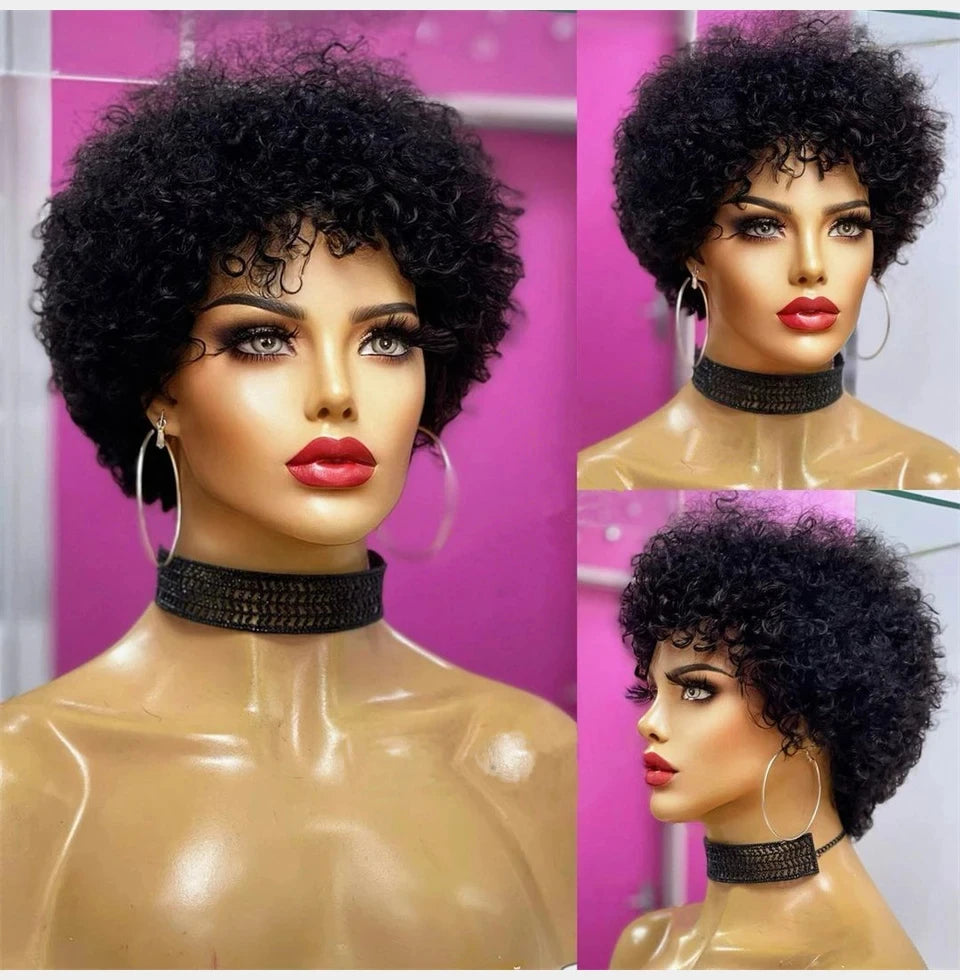 Large Bouncy Afro Kinky Curly Wigs For Black Women, Brazilian Virgin Remy Human Hair Wigs