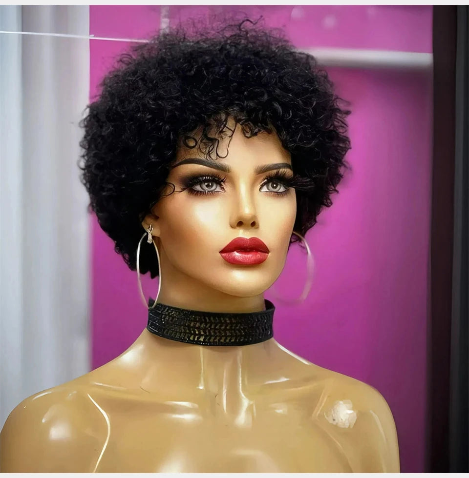 Large Bouncy Afro Kinky Curly Wigs For Black Women, Brazilian Virgin Remy Human Hair Wigs