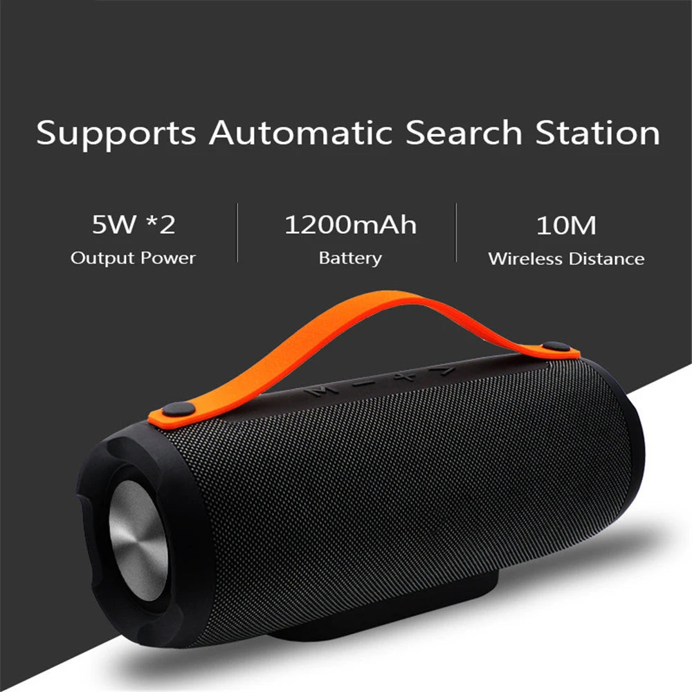 Portable Wireless Bluetooth E13 Speaker Stereo Big power 10W system TF